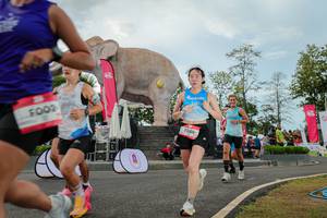 BIB: 
                            <button type="button" onclick="openModal(26528811)" class="btn btn-primary btn-sm float-right btn-popup" data-toggle="modal" data-target=".modal-high-quality">
                        <i class="fas fa-shopping-cart"></i> Add to Cart
                    </button>
                                            <button type="button" onclick="isThisMe(26528811, true)" class="btn btn-success btn-sm float-right btn-popup btn-isme hidden" data-toggle="tooltip" data-placement="bottom" title="นี่คือรูปของคุณใช่ไหม คลิกที่นี่เพื่อเอาเข้าอัลบั้ม">
                        <i class="fas fa-plus"></i> Add to album
                    </button>
                    <button type="button" onclick="isThisMe(26528811, false)" class="btn btn-warning btn-sm float-right btn-popup btn-isnotme hidden">
                        <i class="fas fa-ban"></i> Remove from album
                    </button>